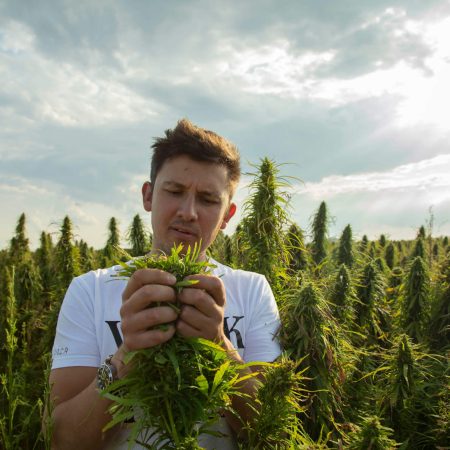 henry-vincenty-in-a-field.jpg