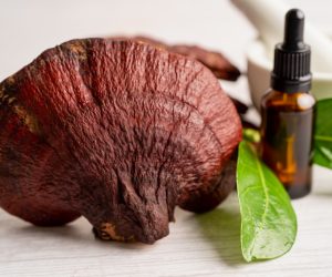 reishi-mushroom-vs-cbd-oil-for-relaxation-science-synergy-and-usage-guide