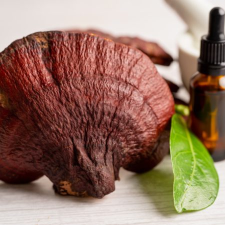 reishi-mushroom-vs-cbd-oil-for-relaxation-science-synergy-and-usage-guide