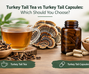 turkey-tail-tea-vs-capsules-which-should-you-choose